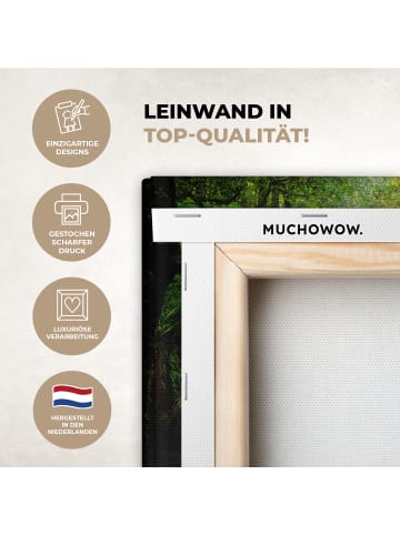 MuchoWow Leinwand bilder Dschungel Wasserfall (BxH)