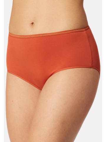 Schiesser Midi Slip Modal Essentials in Mehrfarbig