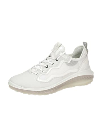 Ecco Komfort Schnürschuhe in Weiß
