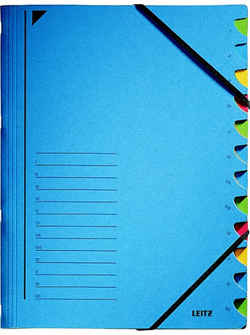Leitz Ordnungsmappe A4 12 Fächer Colorspankarton blau
