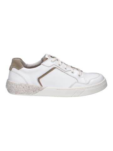 Josef Seibel Sneaker Wilma in weiss-beige