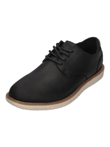 TOMS Schnürschuhe NAVI in schwarz
