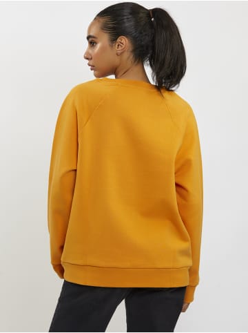 Freshlions Sweater in orange