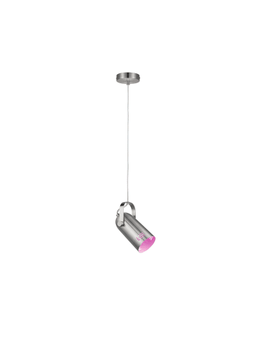 paulmann Neordic Pendelleuchte Lavea