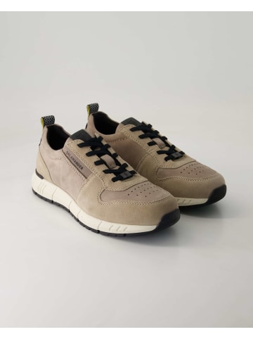 SALAMANDER Slip On Sneaker in Grau