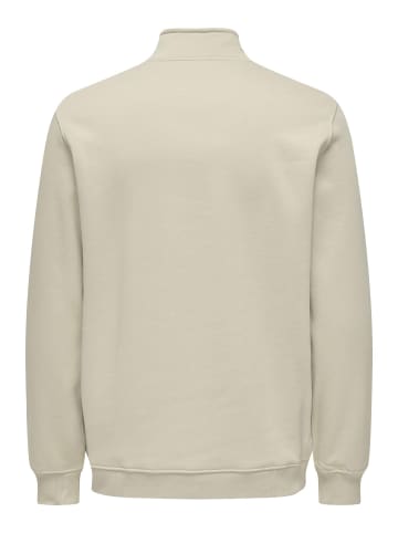 ONLY & SONS Sweatshirt in Silver Lining
