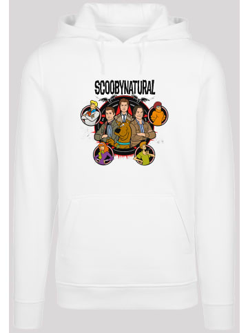 F4NT4STIC Hoodie in white