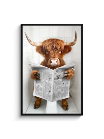 MuchoWow Poster mit Leiste Zeitung Schottisches Hochlandrind