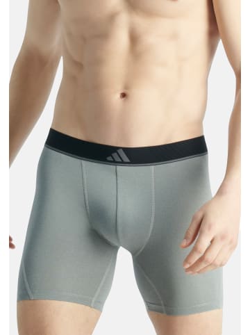 Adidas Sportswear Long Short / Pant Active Micro Flex in Mehrfarbig
