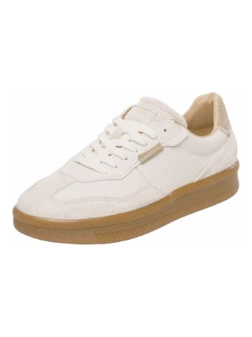 Steve Madden Sneaker in Offwhite