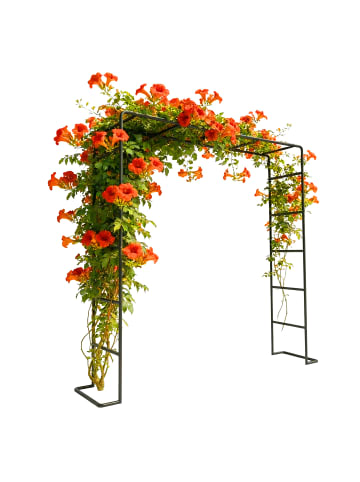 relaxdays Rosenbogen in Schwarz - (B)200 x (H)220 x (T)38 cm
