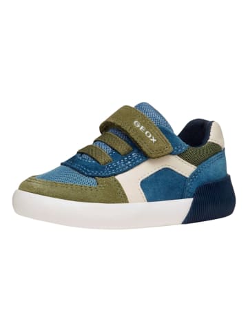 Geox Sneaker in Blau/Braun