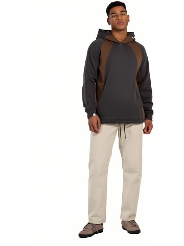Reell Stoffhose "Regular Flex Chino" in Beige
