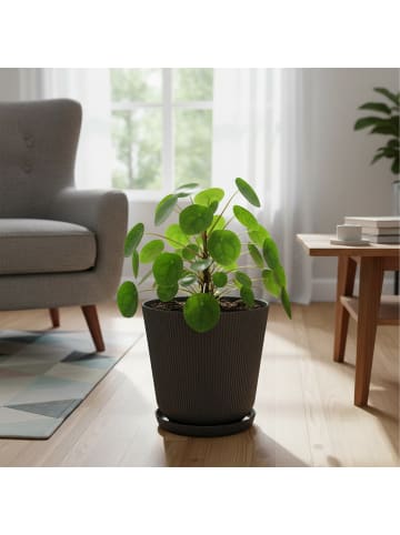 relaxdays 2x Blumentopf in Dunkelgrau - (H) 20 x Ø 20 cm