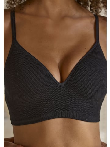 LASCANA Push-up-BH in schwarz