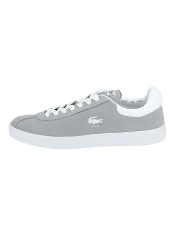 Lacoste Sneaker in Grau/Weiß