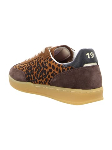 Sun68 Sneaker Low in Animal