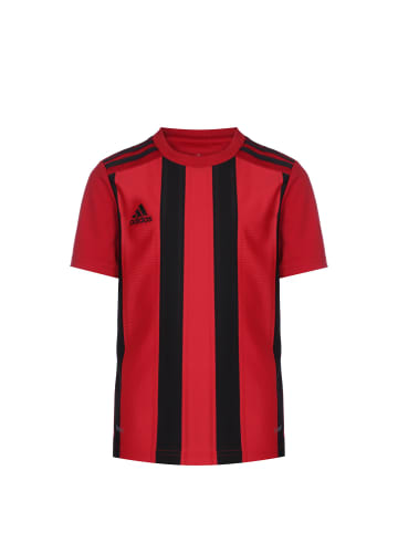 adidas Performance Fußballtrikot Striped 21 in rot / schwarz