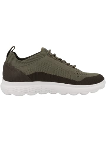 Geox Sneaker low U Spherica A in gruen