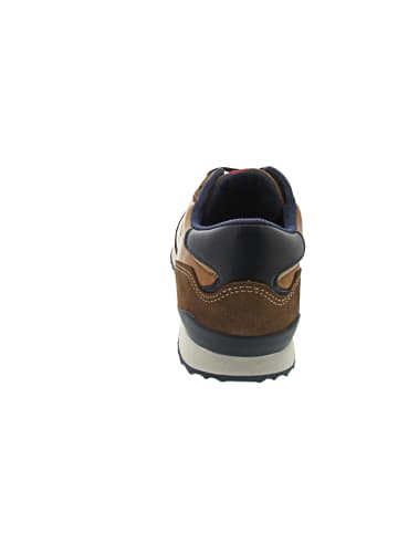 LLOYD EDMOND Sneaker Braun