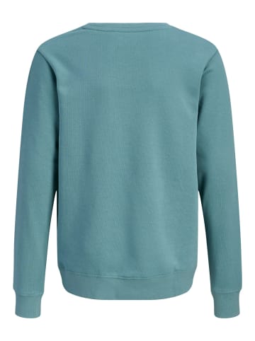 JACK & JONES Junior Sweatshirt mit Frontprint JJCOLE in mineral blue