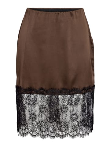 Noisy may Midirock in Chocolate Brown