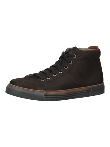 Pius Gabor Sneaker in Mocca