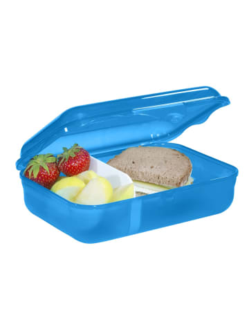 Step by Step Brotzeitbox, mit Klickverschluss in Dolphin Finja