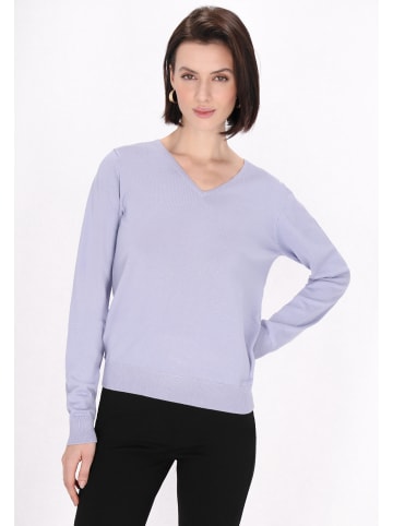 usha BLACK LABEL Women Sweater in light blue