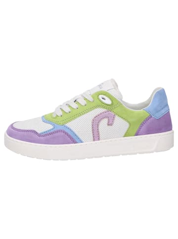 Sioux Sneaker Tedroso-DA-702 in mehrfarbig