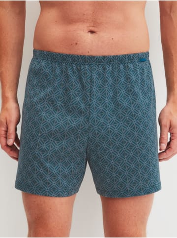 Calida Boxershorts in blue print