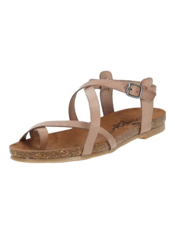Cosmos Comfort Sandalen in Taupe