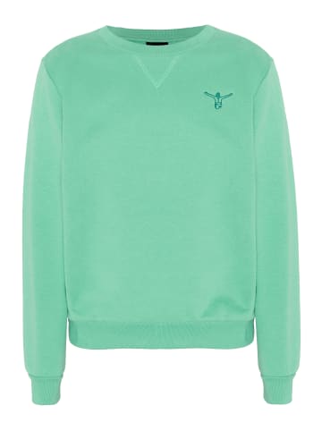 Chiemsee Sweatshirt in Grün