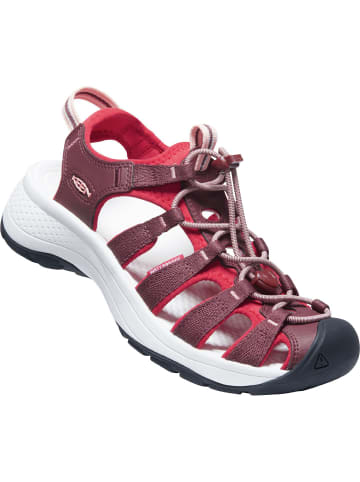 Keen W ASTORIAWEST SANDAL in Rot