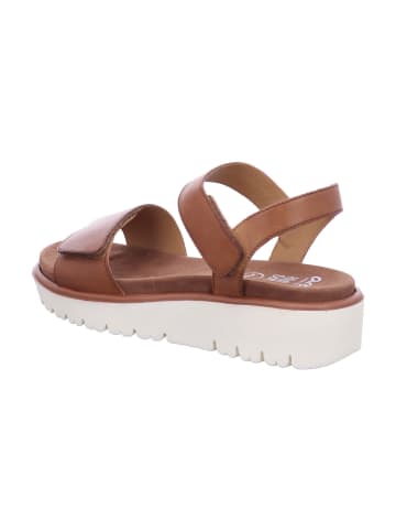 ara Sandalette in braun