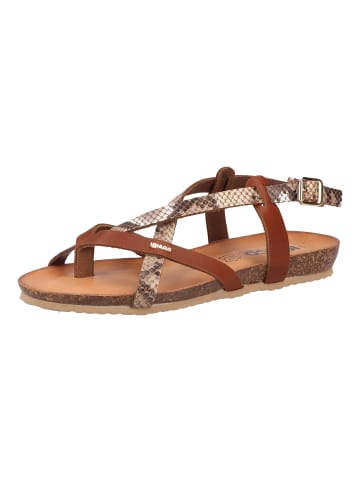 Igi&Co Sandalen in Braun