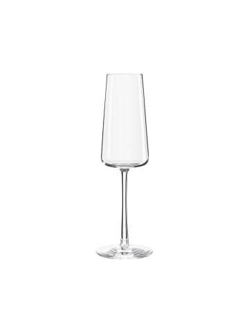 Stölzle 6er Set Champagnergläser Power 240 ml in transparent