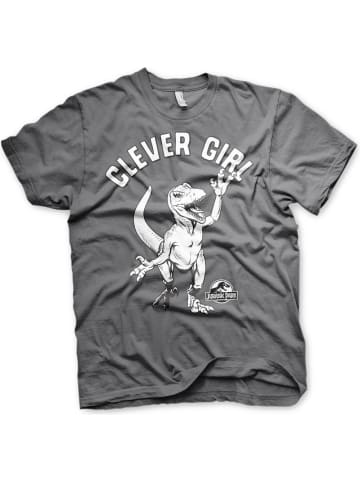 Jurassic Park T-Shirt in Grau
