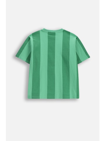 Coccodrillo Baumwoll-t-shirt mit kurzen Ärmeln in grün