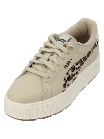 Puma Schnürschuhe in am the drama-putty brown mushr