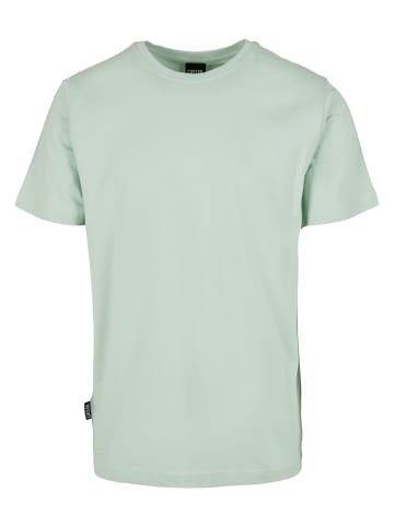 Cayler & Sons T-Shirts in bird's egg green