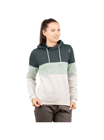 Chillaz WWALCHSEE HOODY in Grau