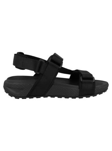 Palladium Sandale Offsandal Strap in schwarz