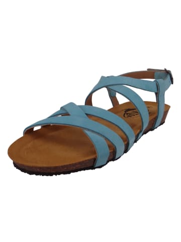 Plakton Sandalen türkis