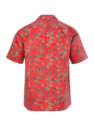 JP1880 Hemd in rot