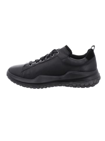 WESTLAND Sneaker Marla W04 in schwarz