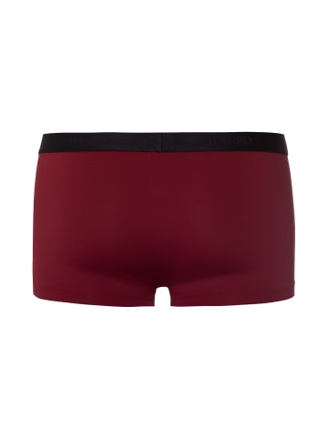 Hanro Retro Pants Micro Touch in Cabernet