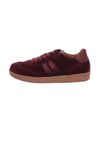 Gabor Sneaker Low in bordo