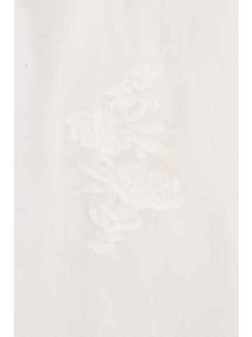 Coccodrillo Strumpfhose in weiß