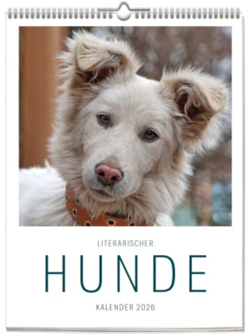 ars vivendi Kalender - Literarischer Hunde - Kalender 2026